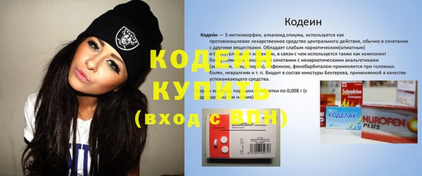 мдпв Осташков
