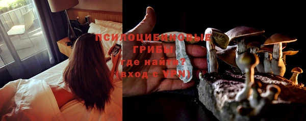 хмурый Осинники