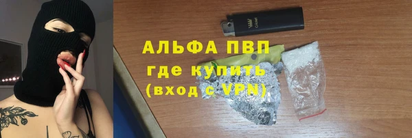 хмурый Осинники