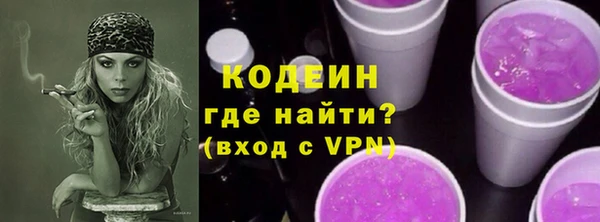 хмурый Осинники