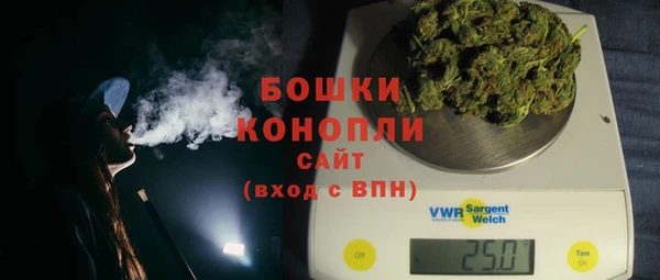 мдпв Осташков