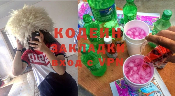 хмурый Осинники