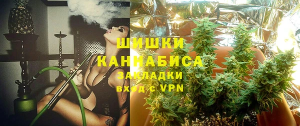 мдпв Осташков