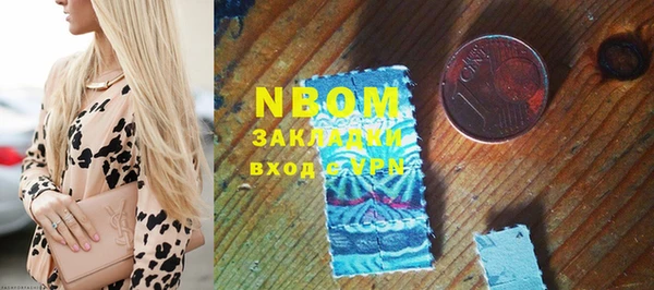 хмурый Осинники