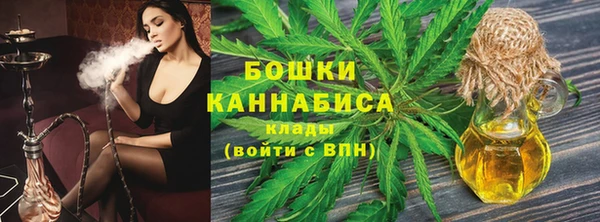 мдпв Осташков