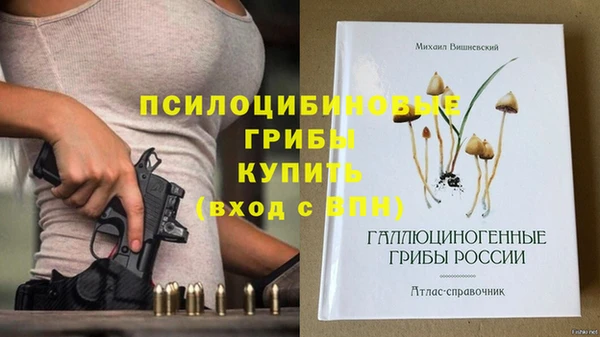 хмурый Осинники